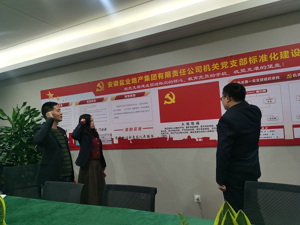 安徽鹽業(yè)地產(chǎn)集團機關(guān)第一黨支部開展“佩黨徽、誦誓詞、贈黨章、上黨課”黨員教育活動